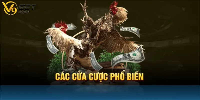 Các cửa cược phổ biến tại V9bet