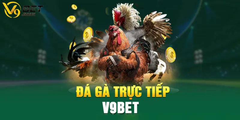 Các hình thức đá gà V9bet